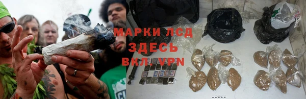 Альфа ПВП Алзамай
