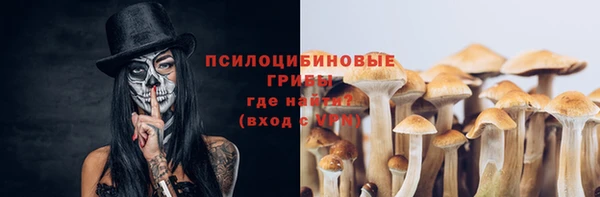 мескалин Алексин
