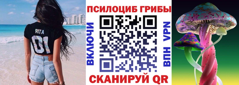 Галлюциногенные грибы Psilocybine cubensis  Спасск-Рязанский 